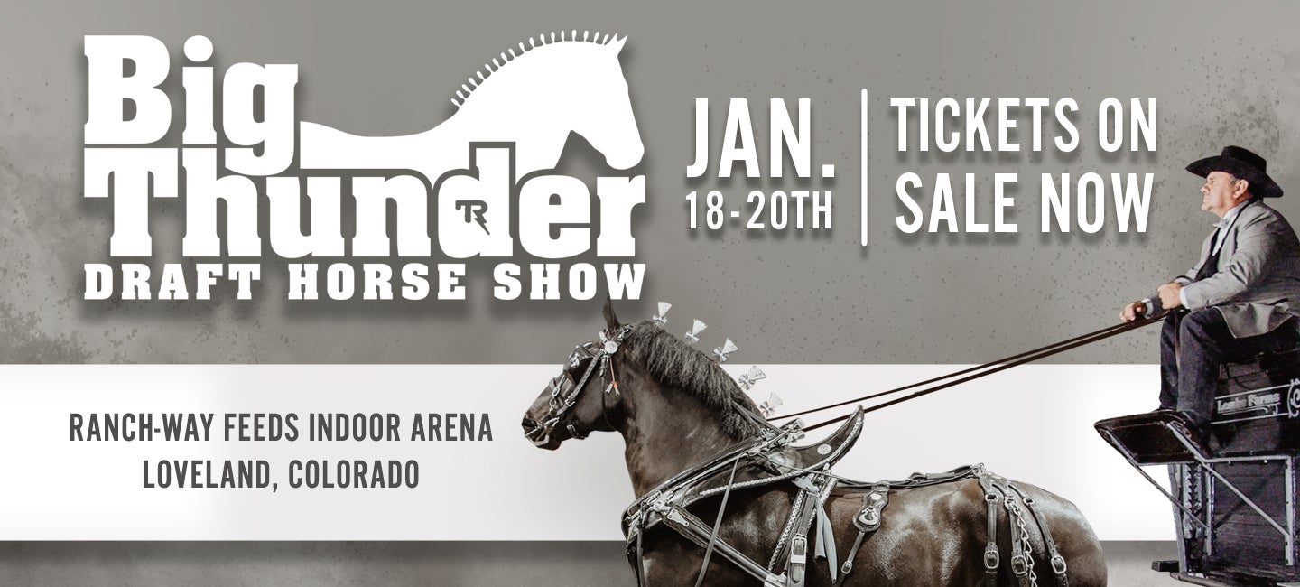 Big Thunder Draft Horse Show