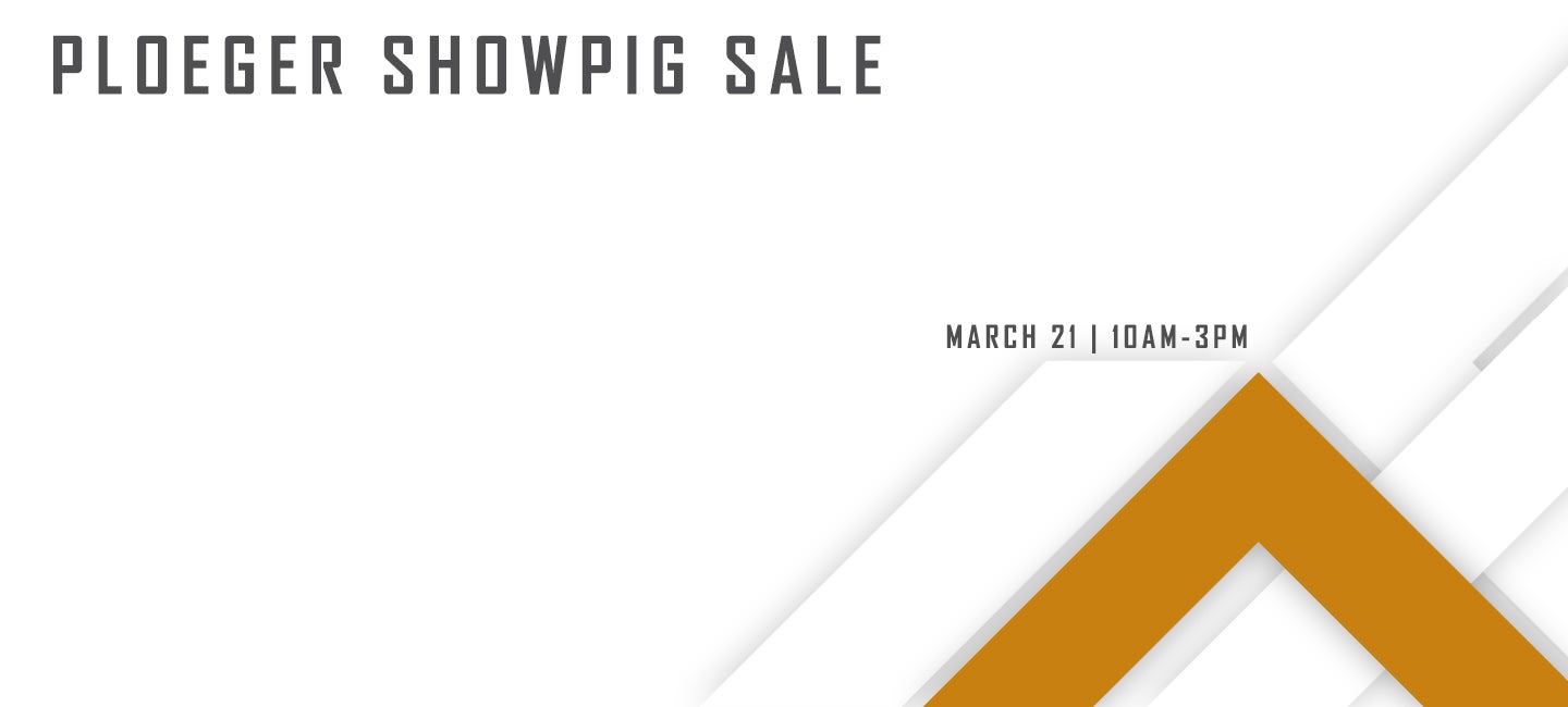 Ploeger Showpig Sale