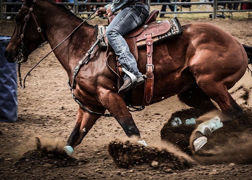 More Info for Adios Winter Barrel Race
