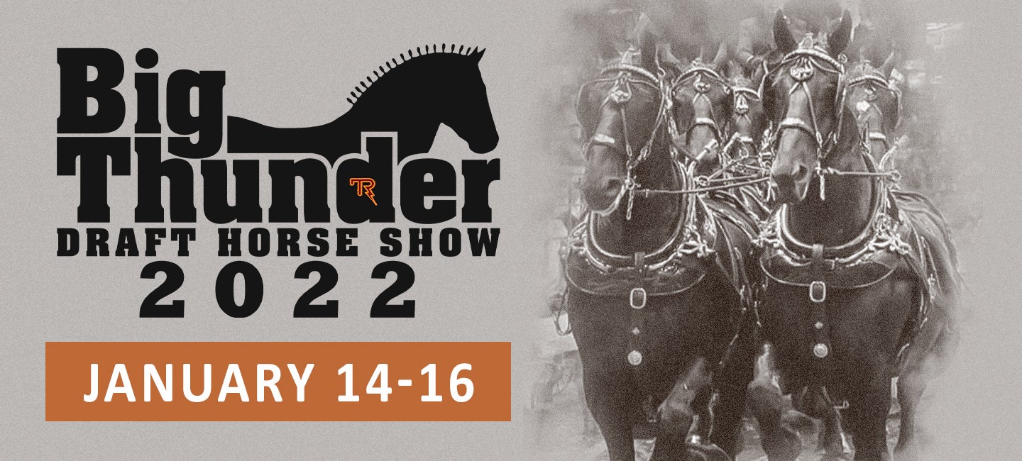 BIG THUNDER DRAFT HORSE SHOW The Ranch Events Complex, Loveland Colorado