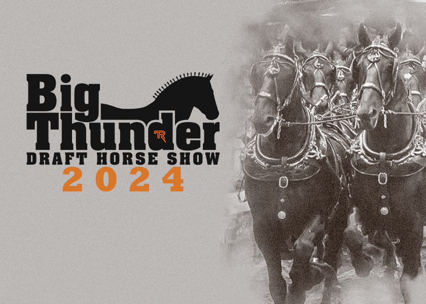 More Info for Big Thunder Draft Horse Show