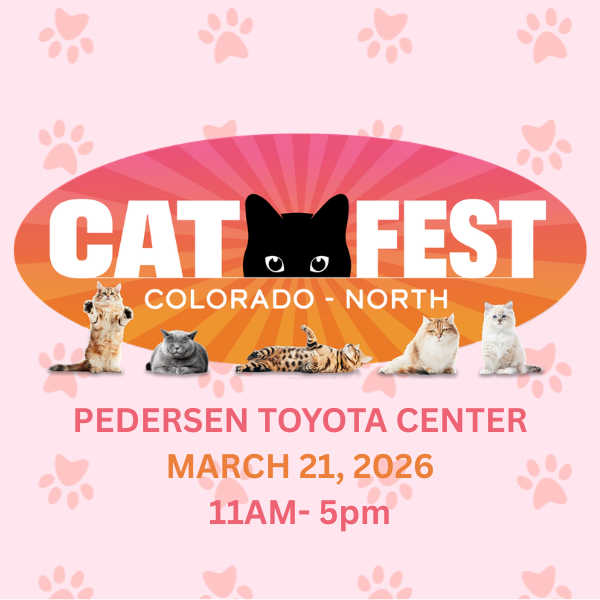 More Info for Cat Fest Colorado North